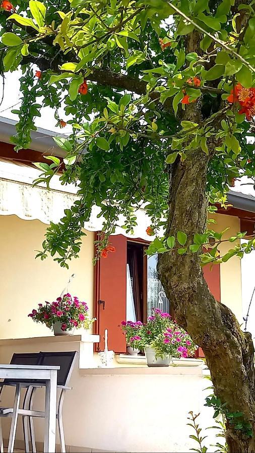 Villa Ama Pordenone Exterior photo